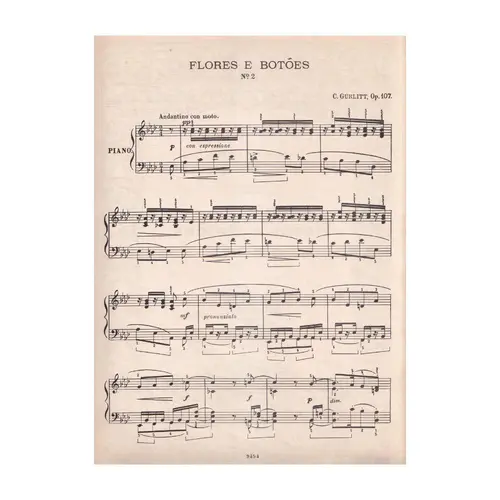 Flores E Botoes - O P.107 N.2