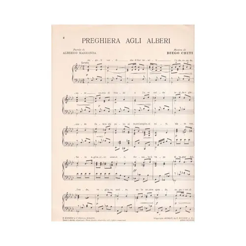Preghiera Agli Alberi