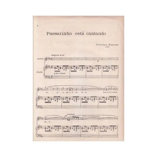 Passarinho está Cantando