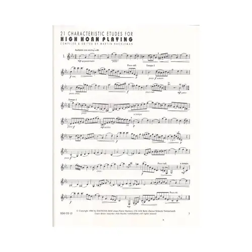 21 Characteristic Etudes F/High Ho