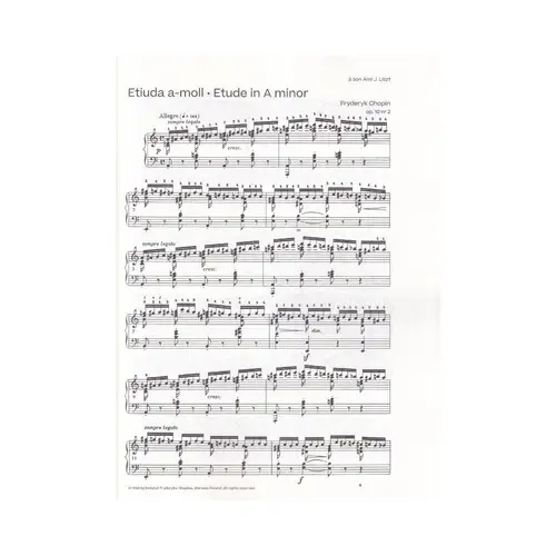 The Most Beautiful Chopin For Piano