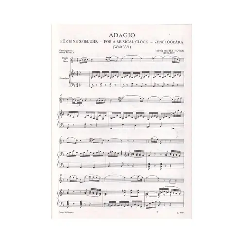 Adagio Fur Eine Spieluhr  (Musical Clock)