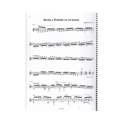El Libro de Oro, Vol. 2 - Studies & Duets