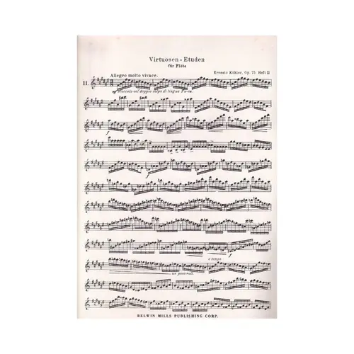 30 Virtuoso Etudes - Op.75 Vol.2