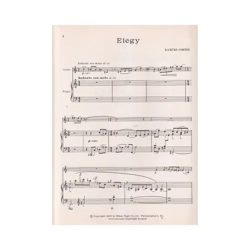 Elegy For Violin