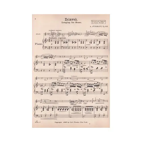 Heimweh-Op.117