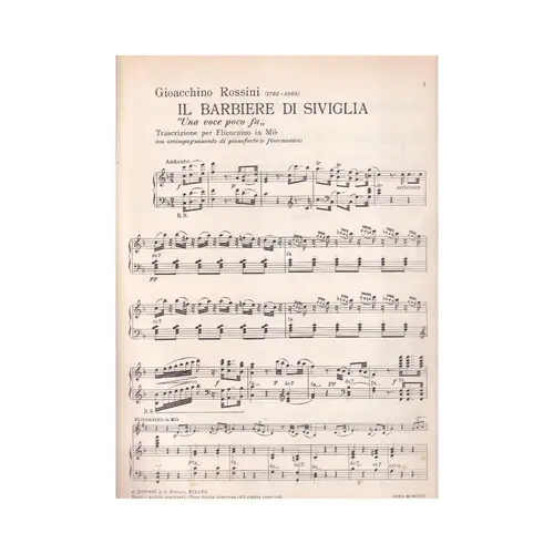 Una Voce Poco Fa ( Il Barbiere Di Siviglia )