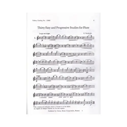 Thirty Easy and Progressive Studies, Book 1