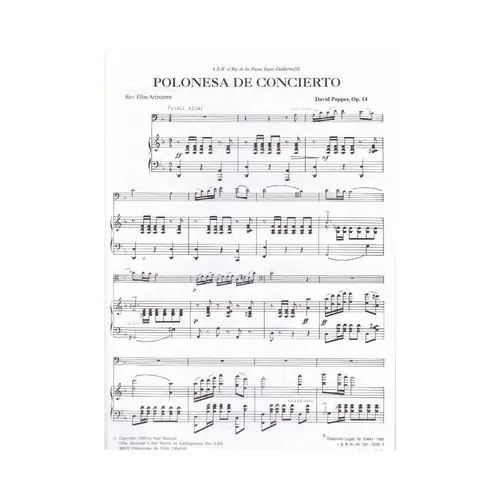 Polonesa De Concierto-Op.14