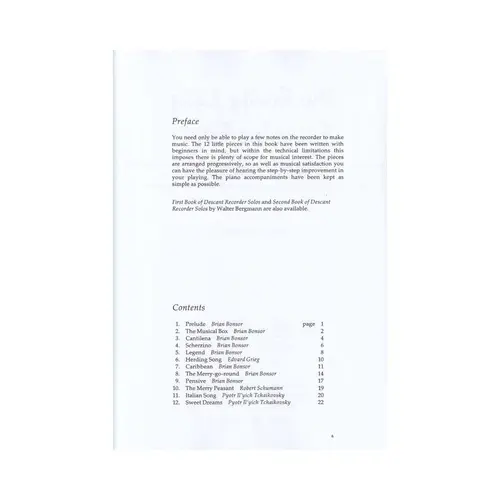 The Really Easy Recorder Book