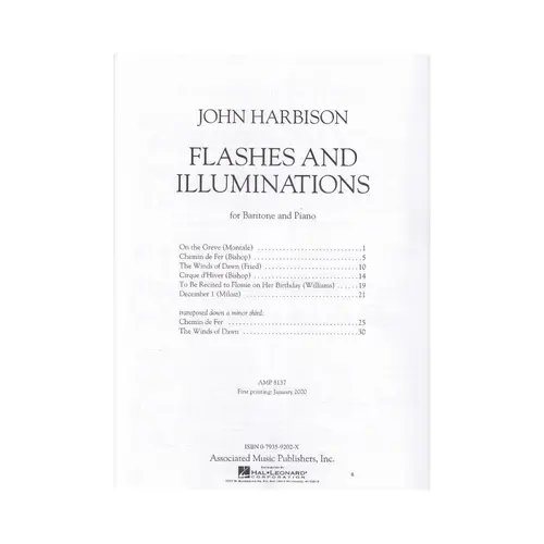 Flashes And Illuminations