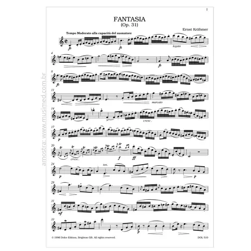 Fantasia (csakan-schule Op.31) for recorder solo