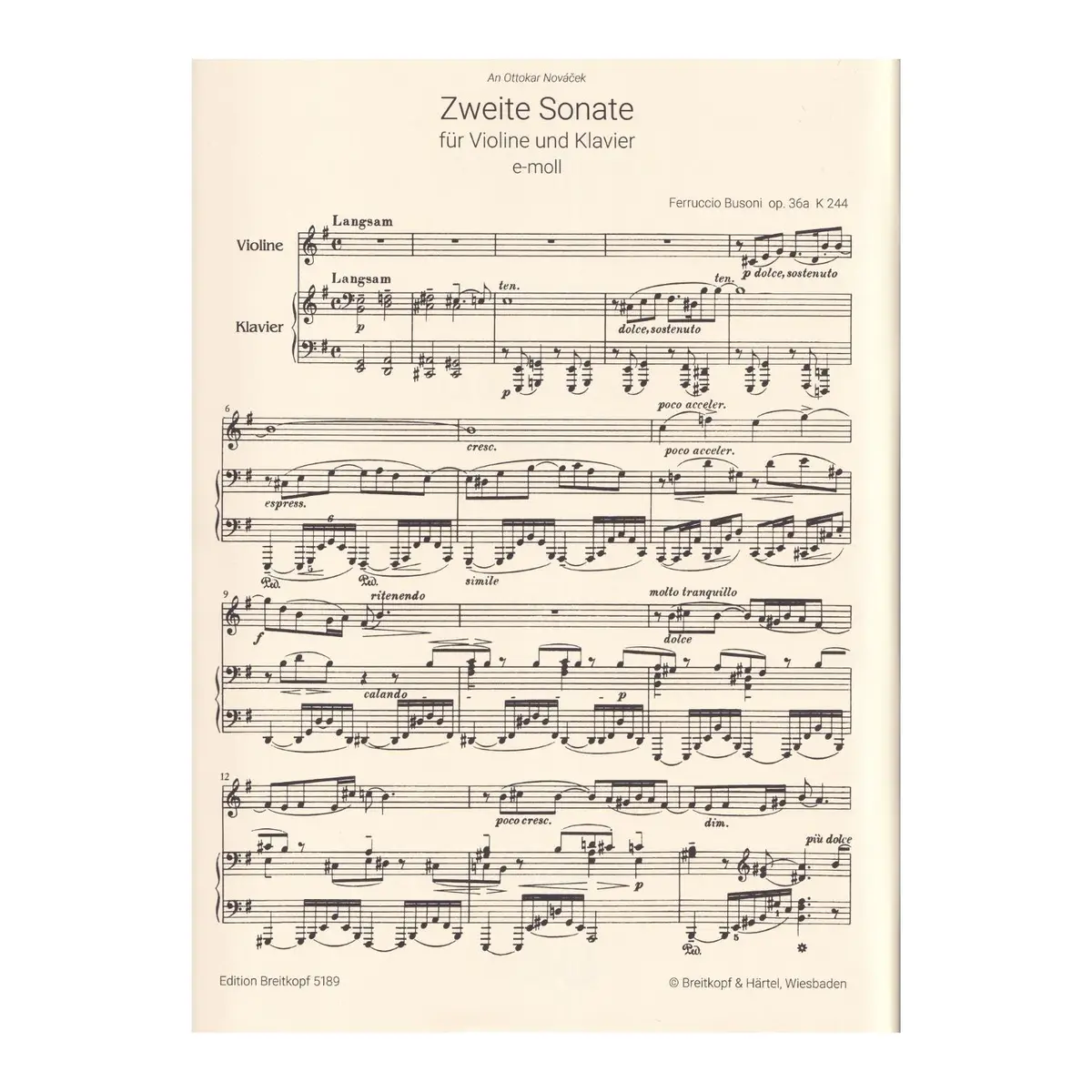 Sonata No. 2 in E minor Op. 36a K 244
