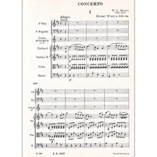 Concerto F/Horn And Orq.-D Maj-K412