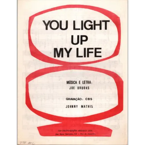 You Light Up My Life