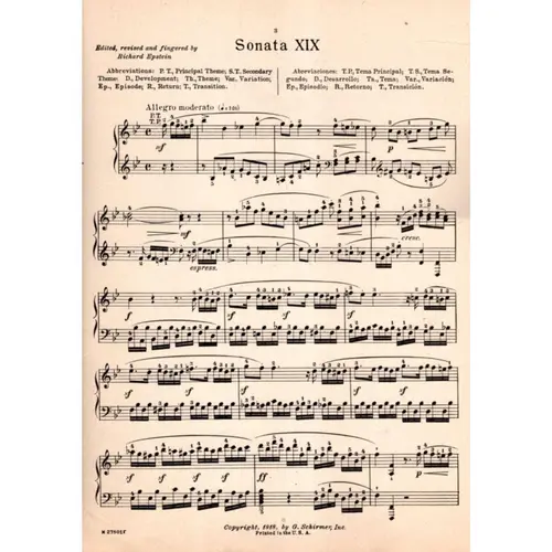 Sonata N.19 K.489