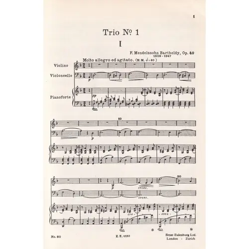 Piano Trio D Min-Op.49