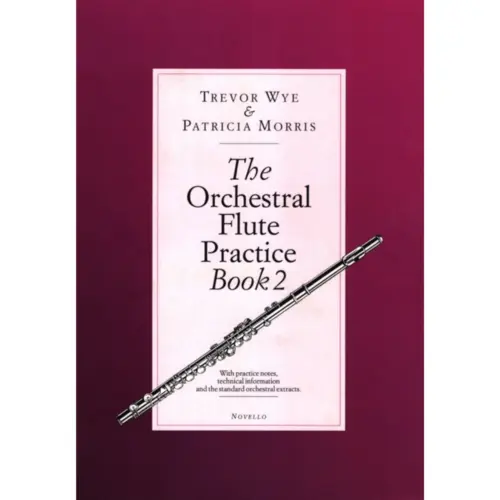 The Orchestral Flute Practice Book 2