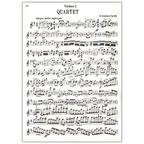 String Quartets - Vol.2 - Op.161, 168