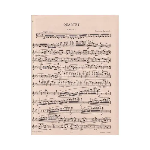 Quartet in C minor - op. posth.