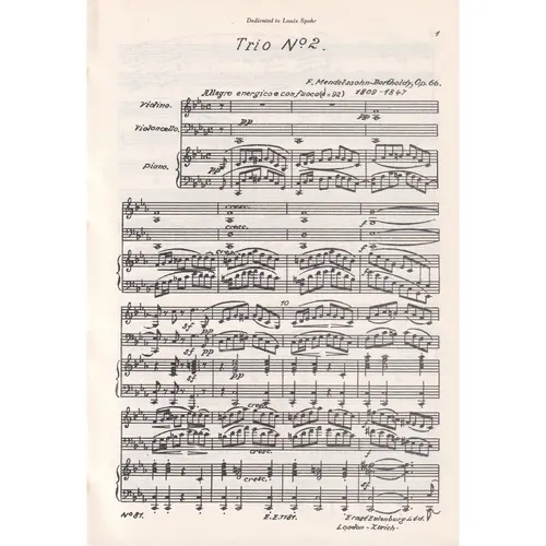Piano Trio C Minor - Op.66