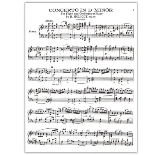Concerto In D Minor For Flute And Piano