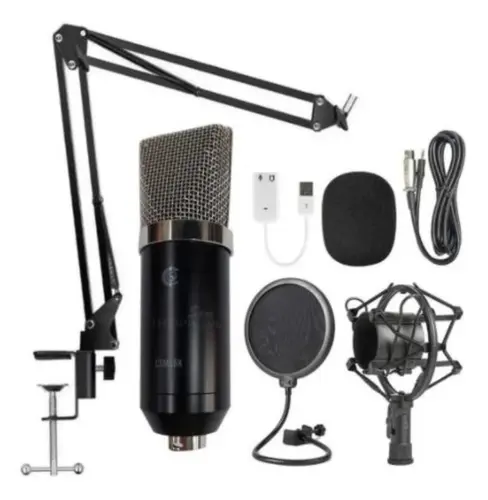 Microfone sem fio Custom Sound CW40 com receiver e dois bastões de plástico