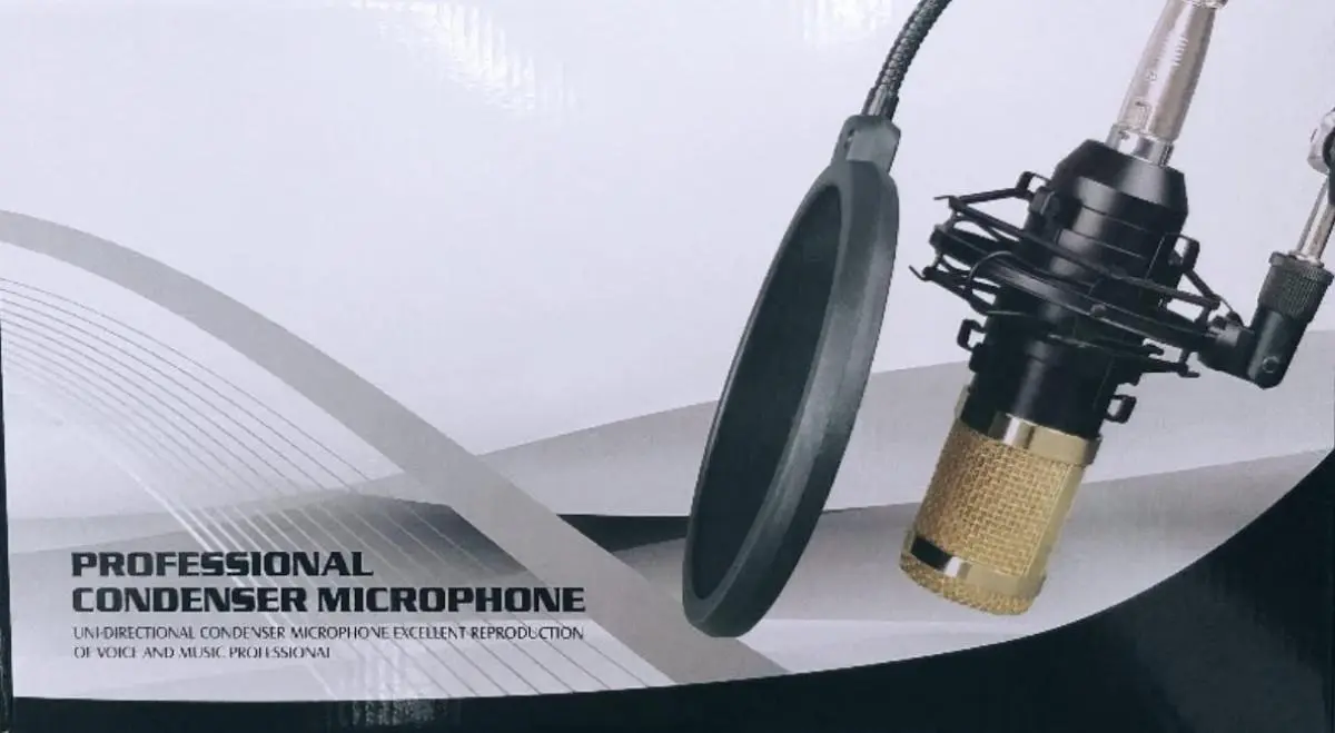 Microfone sem fio Custom Sound CW40 com receiver e dois bastões de plástico