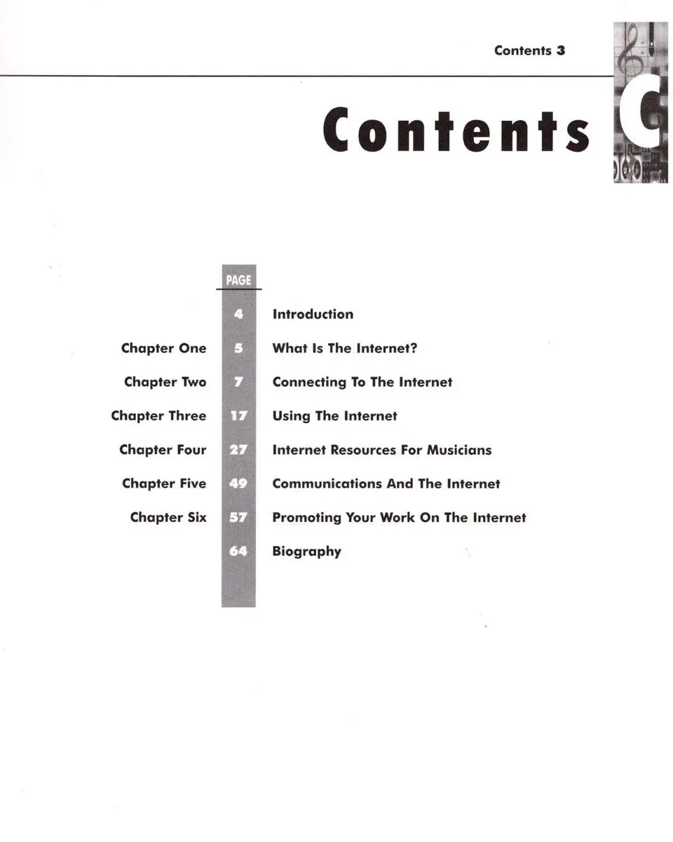 Musicians and the Internet