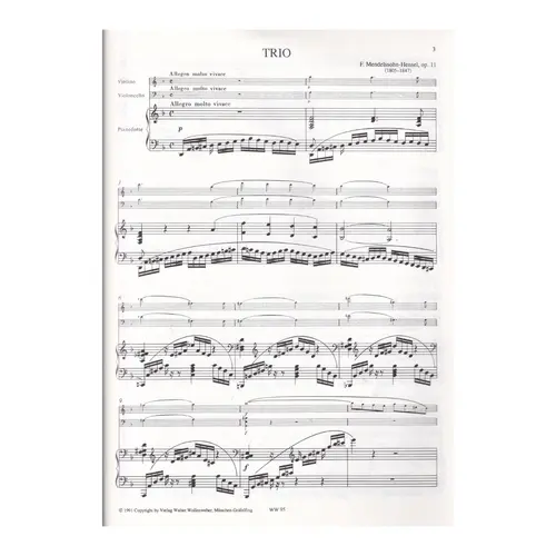 Trio D-Moll Op.11 fur klavier, violine and violoncello