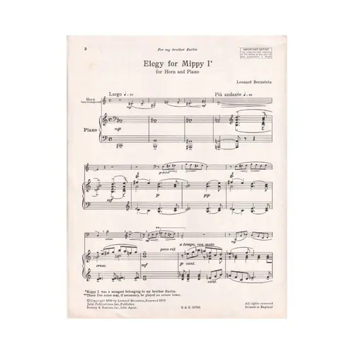 Elegy for Mippy I
