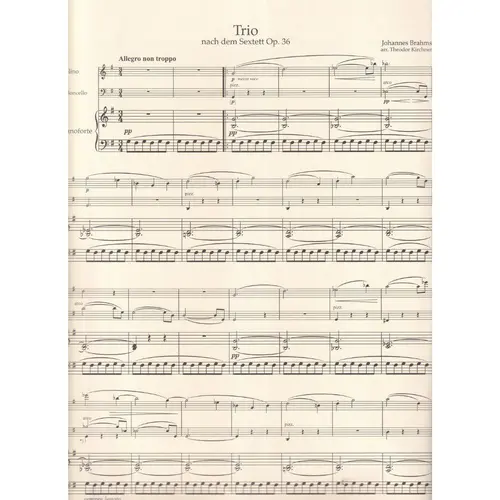 Trio for Violin, Violoncello and Piano