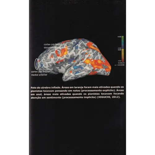 Música e Inteligência pela Neurociência