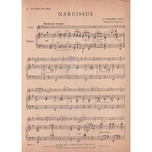 Narcissus
