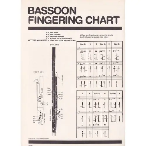Best In Class - Book 2 - Fagot