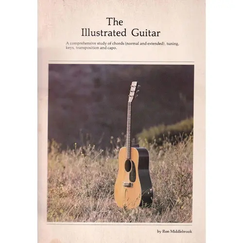 The Illustrated Guitar