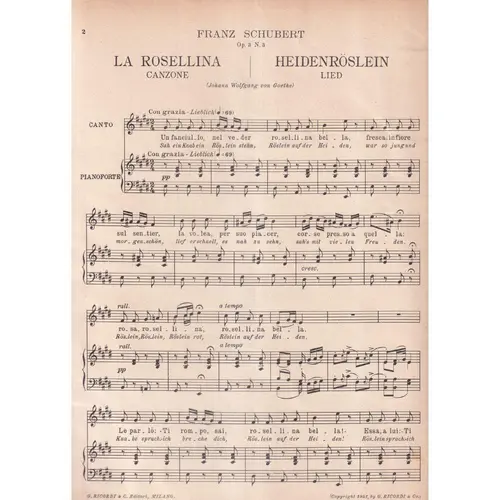 La Rosellina