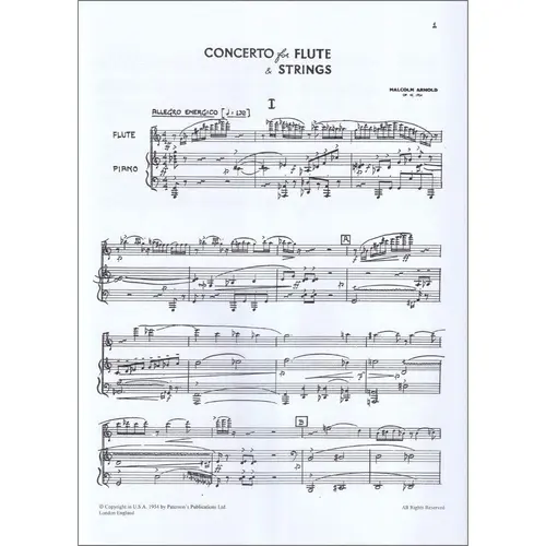 Concerto For Flute And Strings Op.45