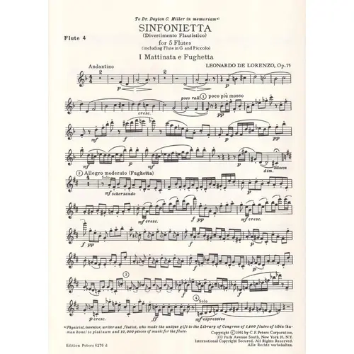 Sinfonietta (Divertimento Flautistico) Op.75