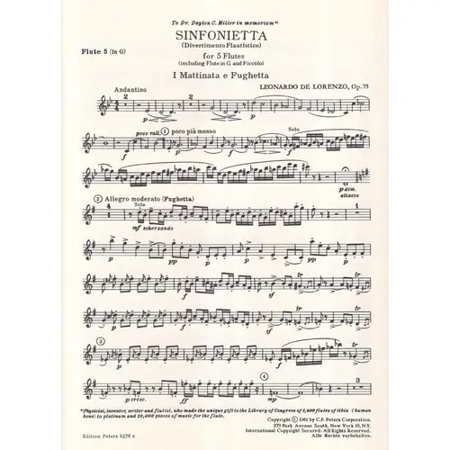 Sinfonietta (Divertimento Flautistico) Op.75