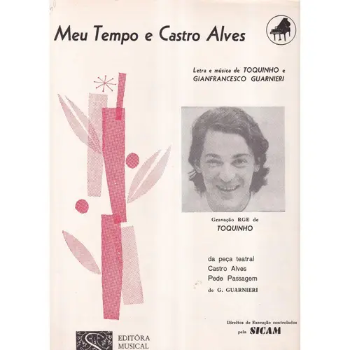 Meu Tempo e Castro Alves