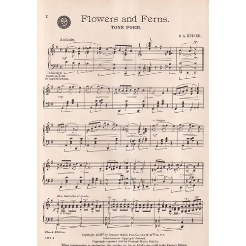Flowers and Ferns