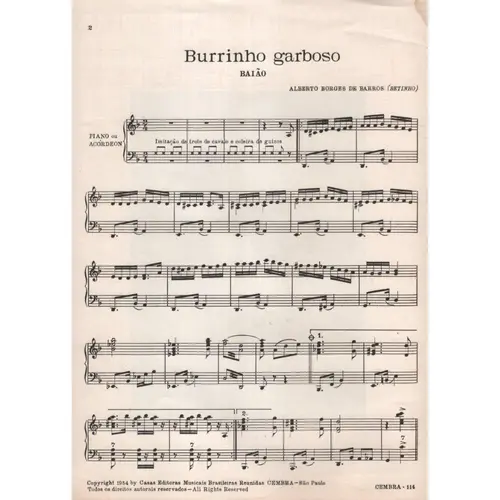 Burrinho Garboso