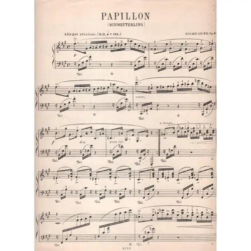 Papillon