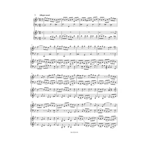Concerto In G-Moll Fur Cembalo Und Streicher - Bwv 1058