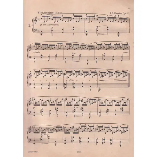 12 Etuden -Aus Op.20