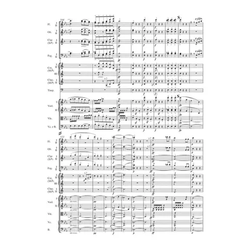 Symphony N.3 In E-Flat Major Op.55 - Eroica ( Study Score )