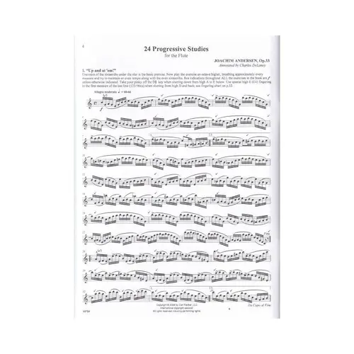 24 Progressive Studies For The Flute, Op.33