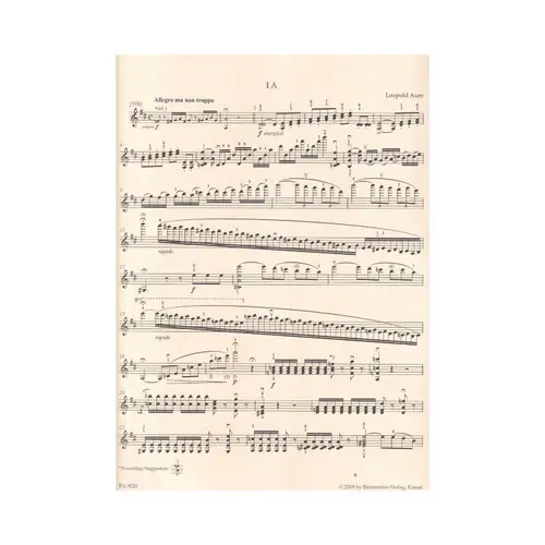Cadenzas to Beethoven's violin concerto for Violin and Orchestra op. 61