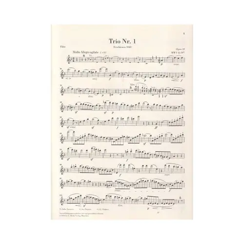 Klaviertrio Nr.1 D-Moll Opus 49 ( Flute Part)